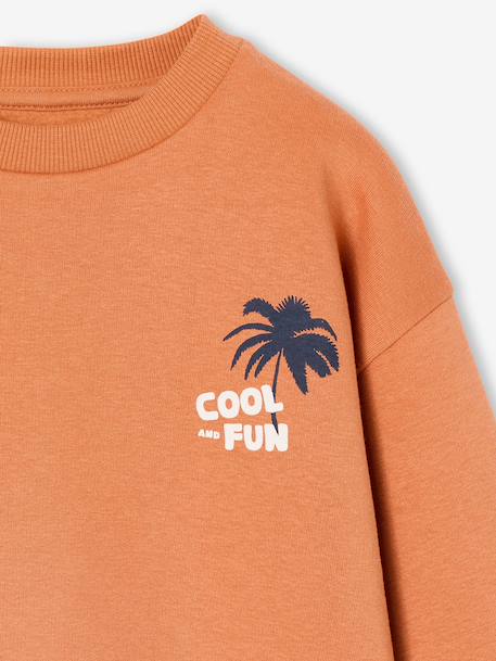 Pack of 2 'Cool and Fun' sweatshirts terracotta+tomato red 
