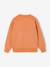Pack of 2 'Cool and Fun' sweatshirts terracotta+tomato red 