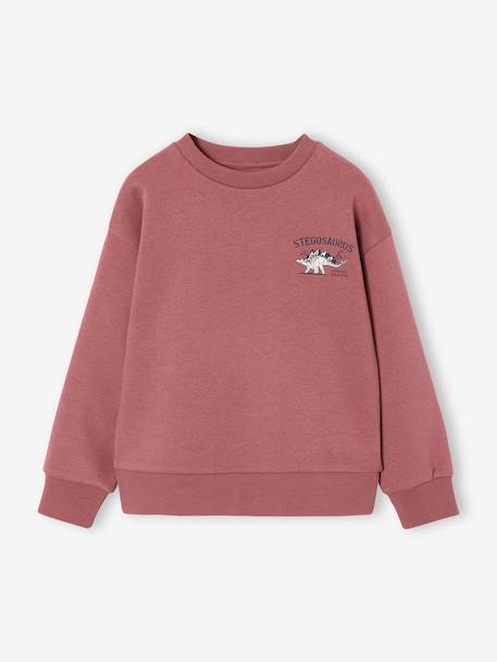 Pack of 2 'Cool and Fun' sweatshirts terracotta+tomato red 