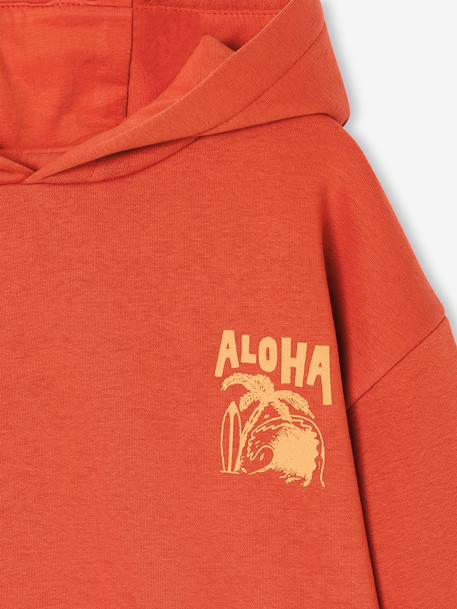 Hoodie with Motif on Chest for Boys, Basics orange+sage green 