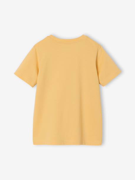 Printed boy's t-shirt aqua green+marl white+medium blue+mint green+ochre+olive+terracotta 