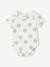 Pack of 5 short-sleeved baby bodysuits ecru 