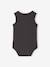 Pack of 2 organic cotton boy's bodysuits anthracite 