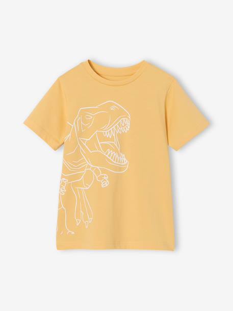 Printed boy's t-shirt aqua green+marl white+medium blue+mint green+ochre+olive+terracotta 