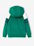Boys' sporty zip-up hooded sweatshirt with raglan sleeves green+navy blue+pecan nut 
