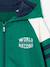 Boys' sporty zip-up hooded sweatshirt with raglan sleeves green+navy blue+pecan nut 