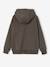 Boys' BRAWL STARS hooded sweatshirt mouse grey 