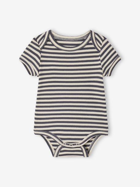 Pack of 3 short-sleeved dog print bodysuits for babies anthracite 