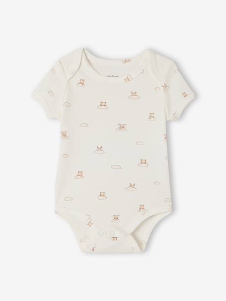 Pack of 5 short-sleeved bodysuit rabbit cloud ecru 