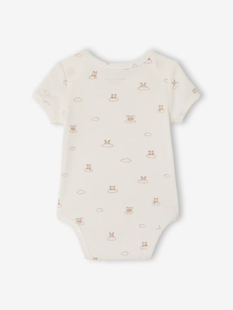 Pack of 5 short-sleeved bodysuit rabbit cloud ecru 