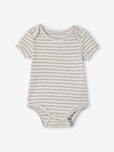 Pack of 5 short-sleeved bodysuit rabbit cloud ecru 