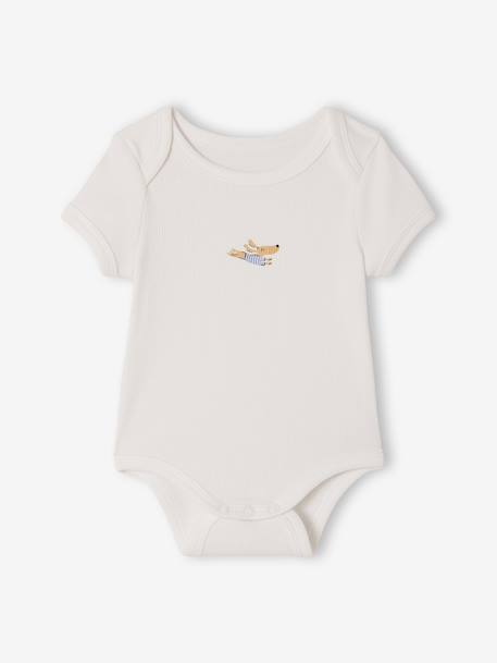 Pack of 3 short-sleeved dog print bodysuits for babies anthracite 