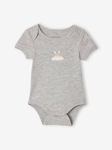 Pack of 5 short-sleeved bodysuit rabbit cloud ecru 