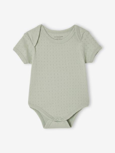 Pack of 3 short-sleeved pointelle bodysuits sage green 
