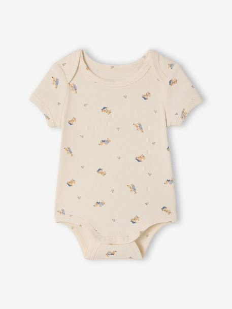 Pack of 3 short-sleeved dog print bodysuits for babies anthracite 