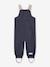 Waterproof dungarees for babies MATWALENTAYA MINI A TURE deep blue+sage green+tomato red 