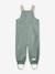 Waterproof dungarees for babies MATWALENTAYA MINI A TURE deep blue+sage green+tomato red 