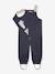 Waterproof dungarees for babies MATWALENTAYA MINI A TURE deep blue+sage green+tomato red 