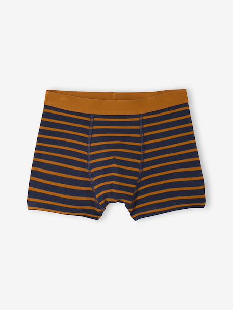 Pack of 5 boys' bike boxers ecru 