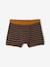 Pack of 5 boys' bike boxers ecru 