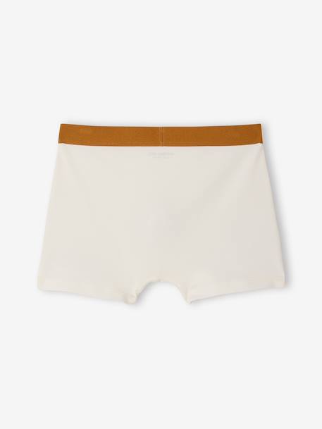 Pack of 5 boys' bike boxers ecru 