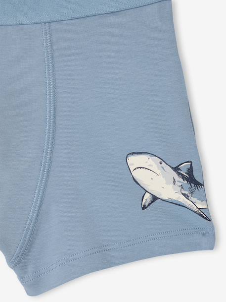 Pack of 5 shark print boxers for boys grey blue 