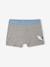 Pack of 5 shark print boxers for boys grey blue 