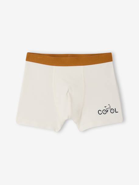 Pack of 5 boys' bike boxers ecru 