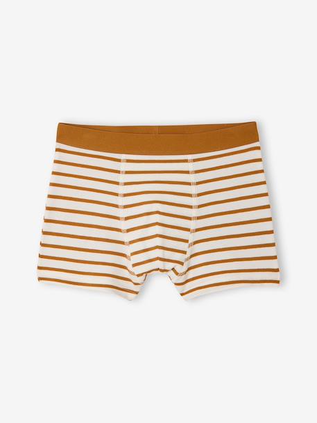 Pack of 5 boys' bike boxers ecru 