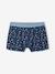 Pack of 5 shark print boxers for boys grey blue 