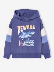 Boys-Hooded printed sweatshirt 