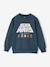 STAR WARS sweatshirt night blue 