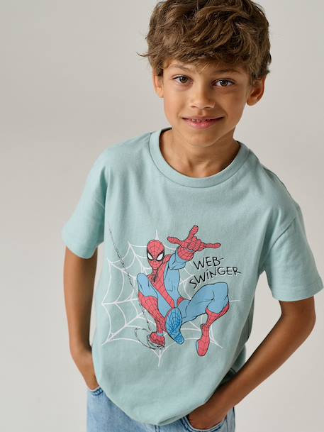 T-shirt SPIDERMAN grey blue 