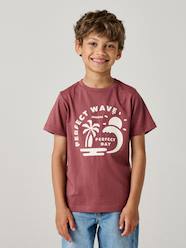 Boys-Printed boy's t-shirt