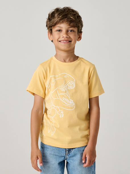 Printed boy's t-shirt aqua green+marl white+medium blue+mint green+ochre+olive+terracotta 
