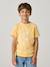 Printed boy's t-shirt aqua green+marl white+medium blue+mint green+ochre+olive+terracotta 
