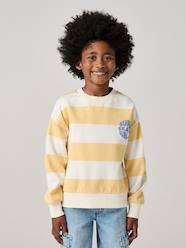 Boys-Striped boy's sweatshirt with placed motif