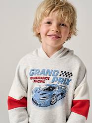 Boys-Hooded printed sweatshirt 