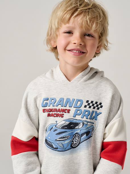 Hooded printed sweatshirt marl grey+marl white+slate blue 