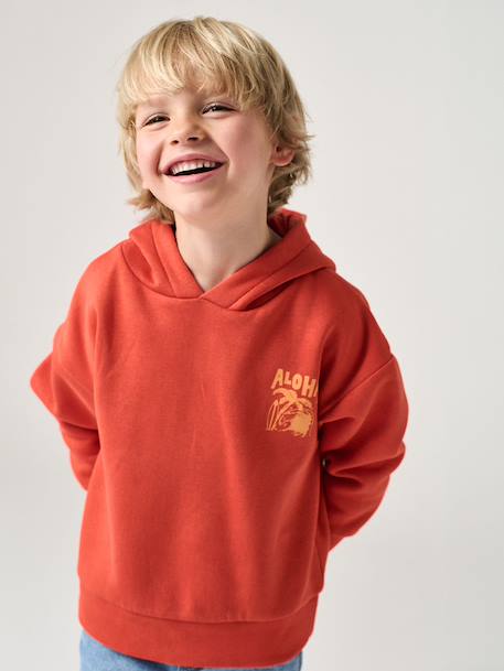 Hoodie with Motif on Chest for Boys, Basics orange+sage green 