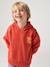 Hoodie with Motif on Chest for Boys, Basics orange+sage green 