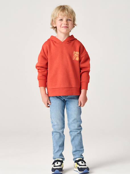 Hoodie with Motif on Chest for Boys, Basics orange+sage green 