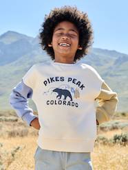 Round-neck sweatshirt with long sleeves for boys
