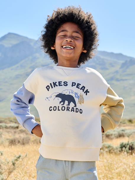 Round-neck sweatshirt with long sleeves for boys multicoloured 