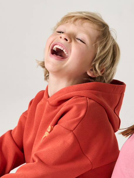 Hoodie with Motif on Chest for Boys, Basics orange+sage green 