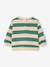 Striped long-sleeved baby sweatshirt striped green 
