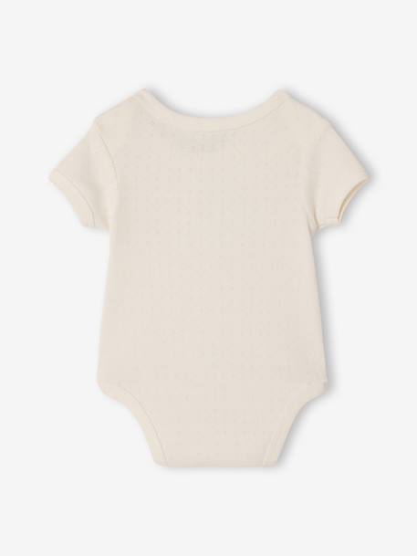 Pack of 3 short-sleeved pointelle bodysuits sage green 