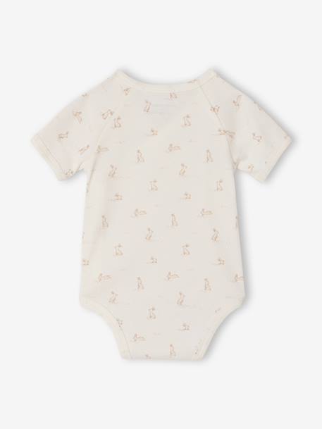 Pack of 5 short-sleeved rabbit bodysuit for babies marl grey 