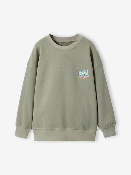 Pack of 2 long-sleeved boy's sweatshirts sage green 