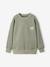 Pack of 2 long-sleeved boy's sweatshirts sage green 